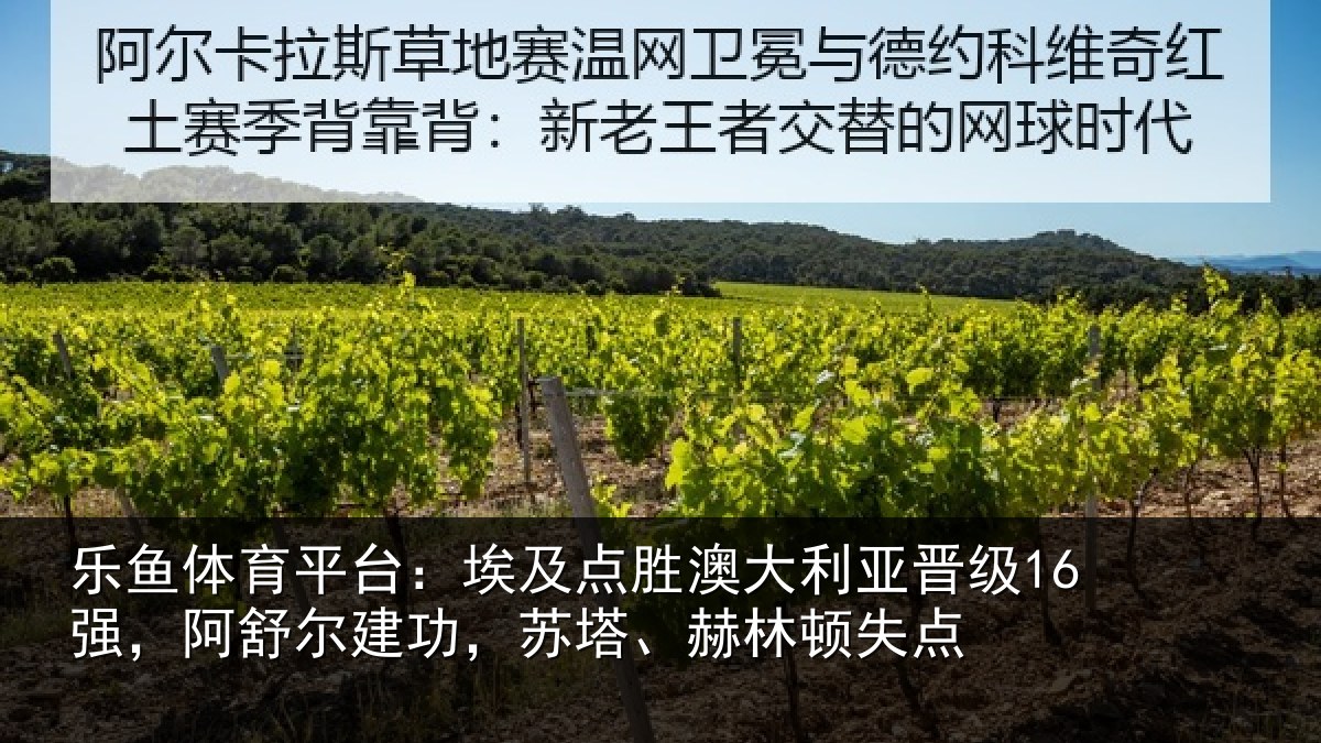 乐鱼体育平台:埃及相关情况16强阿相关情况顿失点