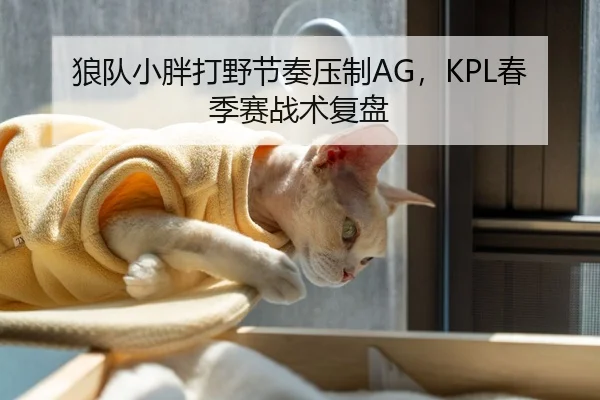 狼队小胖打野节奏压制AG，KPL春季赛战术复盘