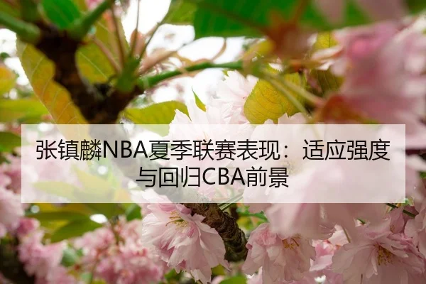 张镇麟NBA夏季联赛表现：适应强度与回归CBA前景