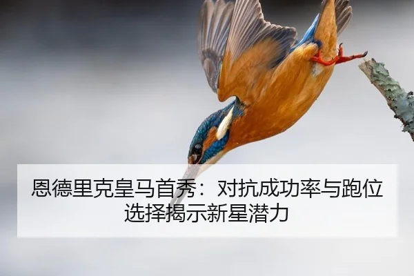 恩德里克皇马首秀：对抗成功率与跑位选择揭示新星潜力