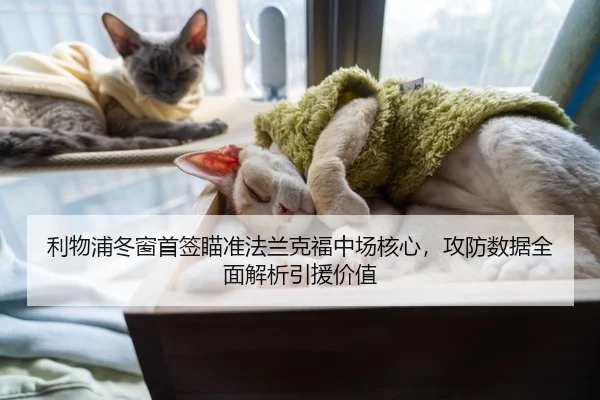 利物浦冬窗首签瞄准法兰克福中场核心，攻防数据全面解析引援价值