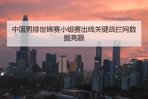 中国男排世锦赛小组赛出线关键战拦网数据亮眼